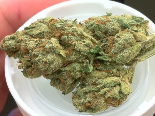 Order Agent Orange (AA) Online Canada - Image 45