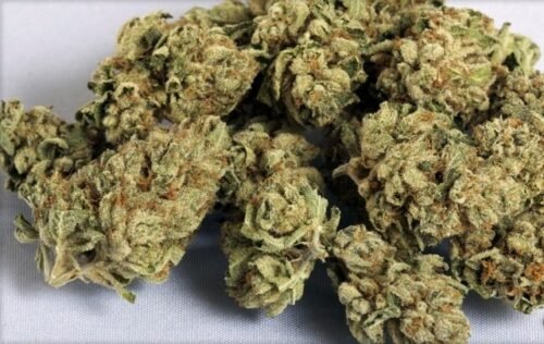 Order Agent Orange (AA) Online Canada - Image 28