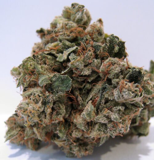 Order Agent Orange (AA) Online Canada - Image 29