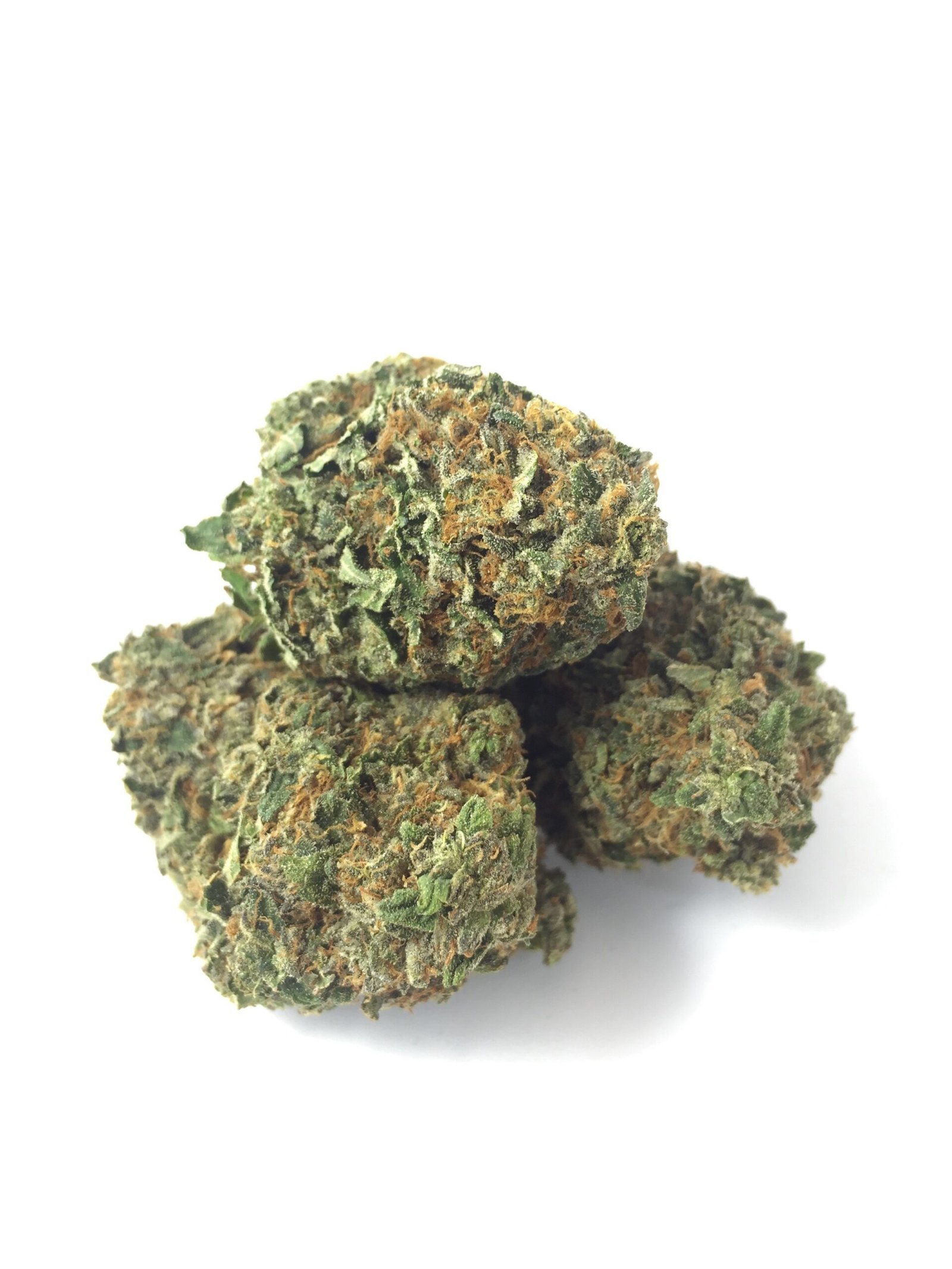 Buy Pink Tuna (Hybrid) Online Canada - Image 3