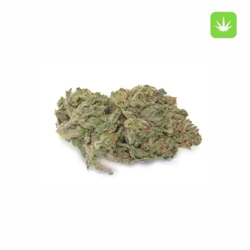 Buy Purple Haze (Hybrid) Online Canada
