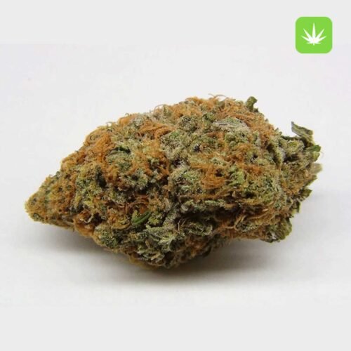 Buy Purple Kush (Indica) Online Canada
