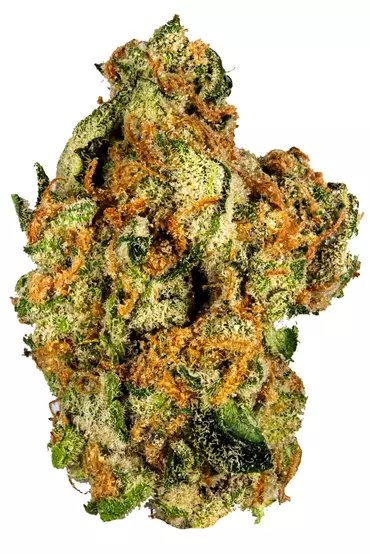 Buy Rose OG Strain Online Canada