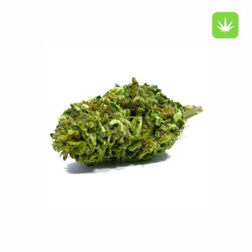 Order Sensi Star (Indica) Online Canada