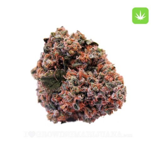 Buy Strawberry Kush (Hybrid) Online Canada
