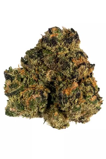 Buy Sunset Sherbet Marijuana Strain Online Canada