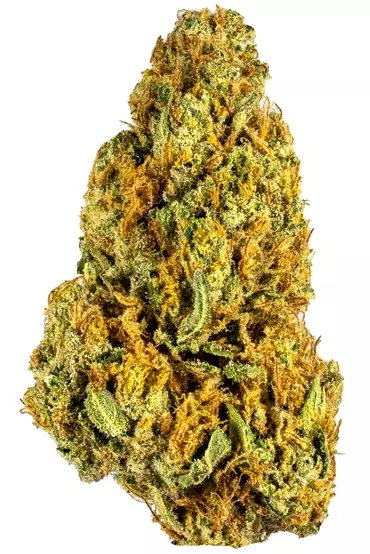 Buy Wookies strain Online Canada