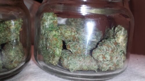 Buy Sour OG Online Canada - Image 40