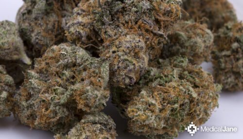 Order Agent Orange (AA) Online Canada - Image 124