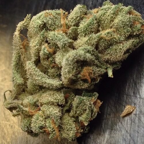 Order Agent Orange (AA) Online Canada - Image 125