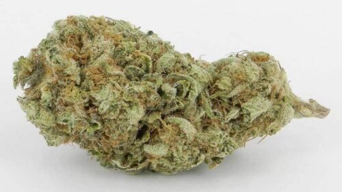 Order Agent Orange (AA) Online Canada - Image 117