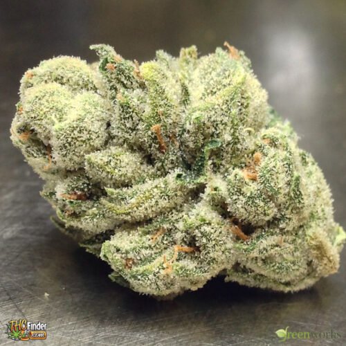 Order Agent Orange (AA) Online Canada - Image 114