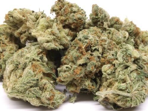 Order Agent Orange (AA) Online Canada - Image 116