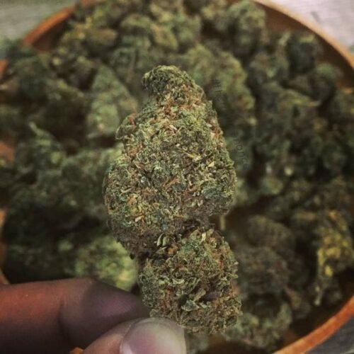 Order Agent Orange (AA) Online Canada - Image 110