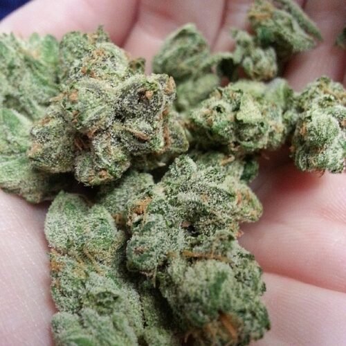 Order Agent Orange (AA) Online Canada - Image 105
