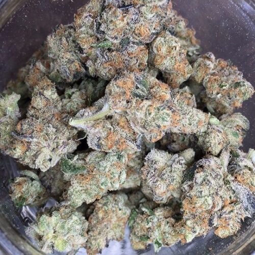 Order Agent Orange (AA) Online Canada - Image 98