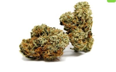 Order Maui Wowie Marijuana Strain Online Canada