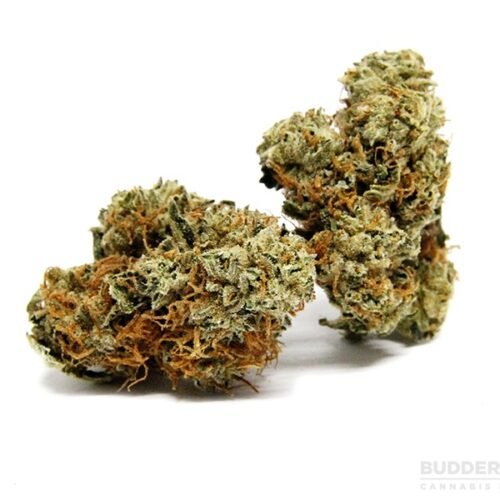 Order Maui Wowie Marijuana Strain Online Canada