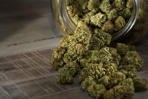 Order Agent Orange (AA) Online Canada - Image 102