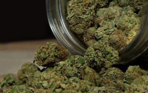 Order Agent Orange (AA) Online Canada - Image 95