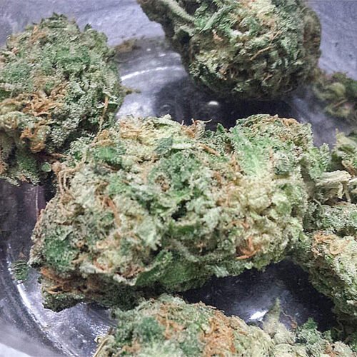 Khalifa Kush (Hybrid) - Image 271