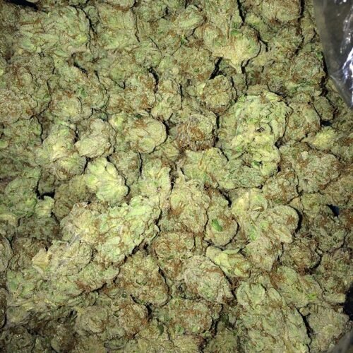 Order Agent Orange (AA) Online Canada - Image 94