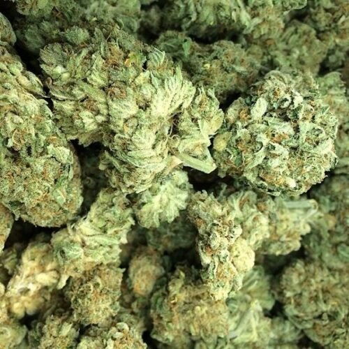 Order Agent Orange (AA) Online Canada - Image 92