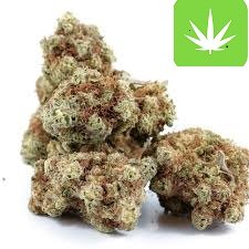 Buy Harlequin High CBD Strain Online Canada