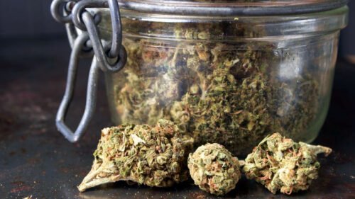 Order Agent Orange (AA) Online Canada - Image 75
