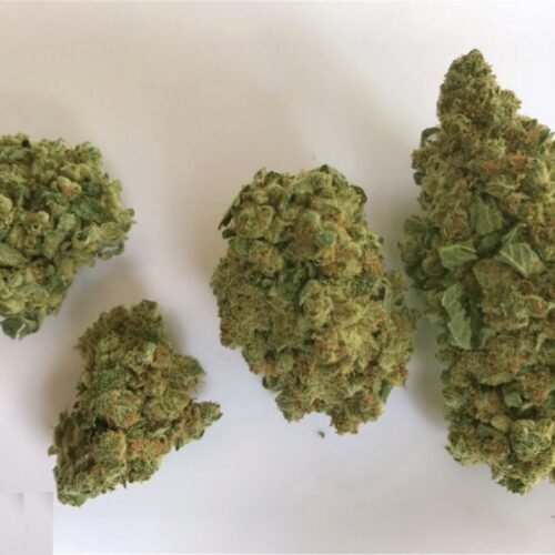 Order Bruce Banner Bud Online Canada