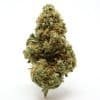Order Jack Herer Cannabis Strain (Sativa) Online Canada