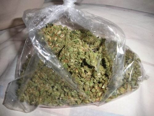 Order Agent Orange (AA) Online Canada - Image 54