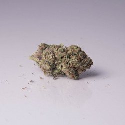 Buy Headband Strain (Hybrid) Online Canada - Image 2