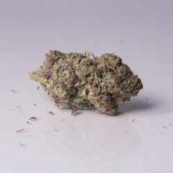Buy Headband Strain (Hybrid) Online Canada - Image 3