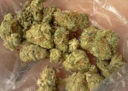 Order Agent Orange (AA) Online Canada - Image 51