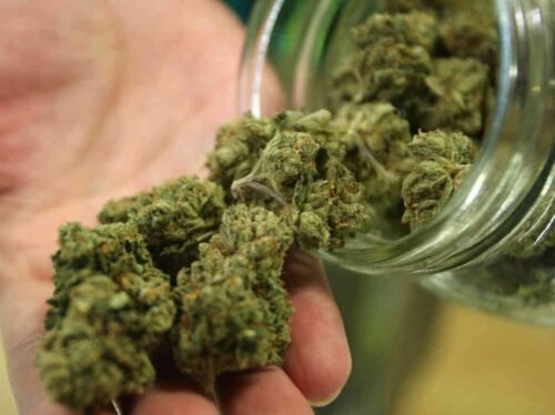 Order Agent Orange (AA) Online Canada - Image 53
