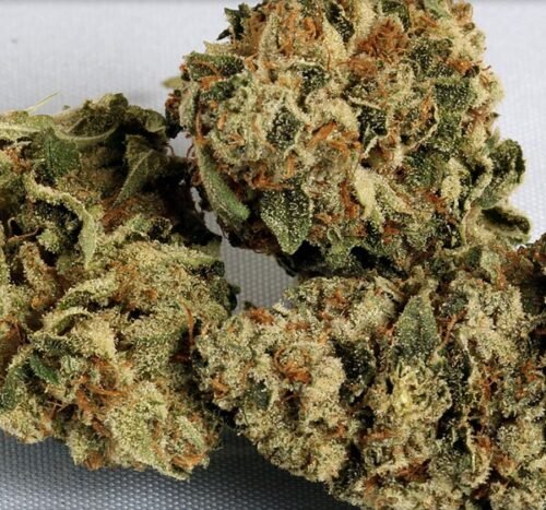 Order Agent Orange (AA) Online Canada - Image 35