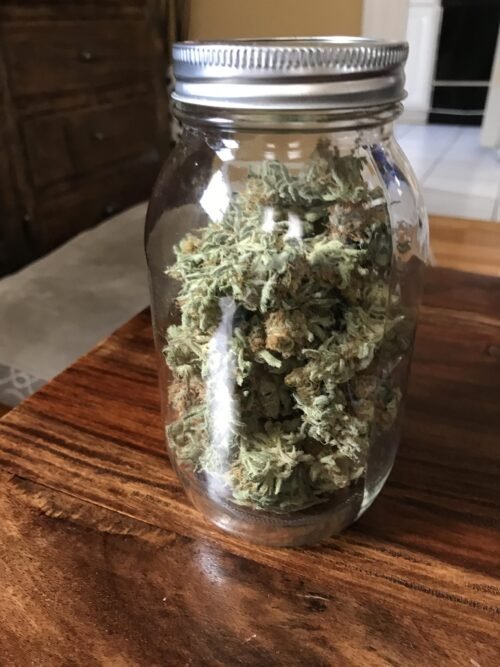 Order Agent Orange (AA) Online Canada - Image 36