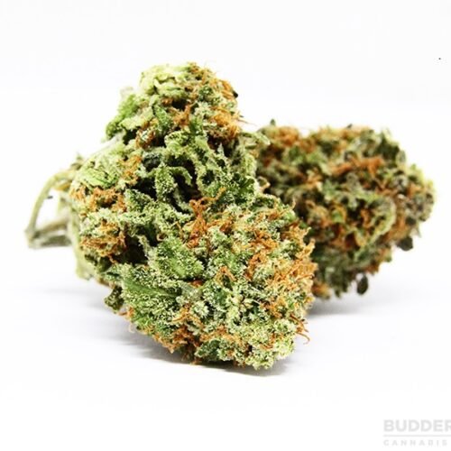 Order Pineapple Express (Hybrid) Online Canada