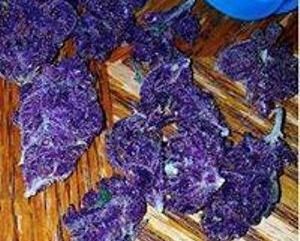 Buy Purple Urkle Strain Online Canada