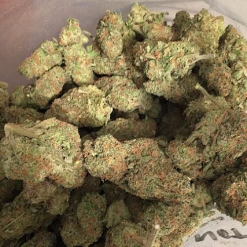 Khalifa Kush (Hybrid) - Image 339