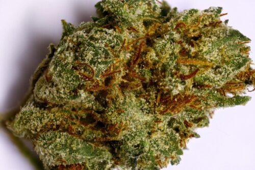 Order Agent Orange (AA) Online Canada - Image 22