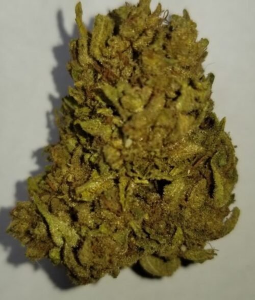 Order Agent Orange (AA) Online Canada - Image 20