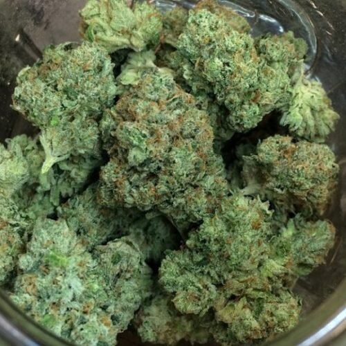 Khalifa Kush (Hybrid) - Image 342