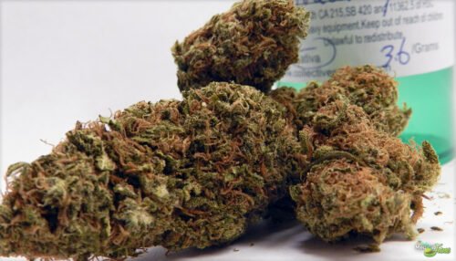 Order Agent Orange (AA) Online Canada - Image 16