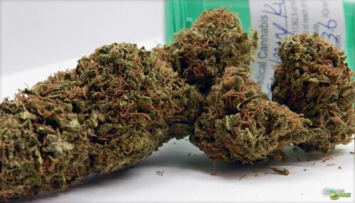 Order Agent Orange (AA) Online Canada - Image 14