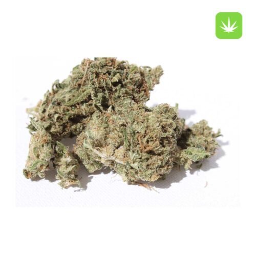 Buy Super Silver Haze (Hybrid) Online Canada