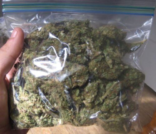 Buy Sour OG Online Canada - Image 26