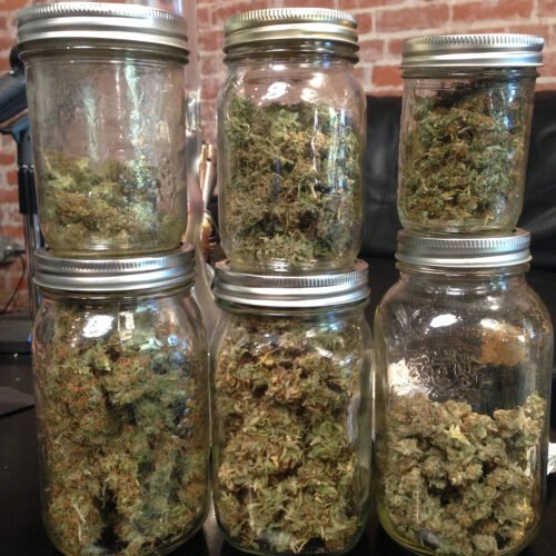 Order Agent Orange (AA) Online Canada - Image 8