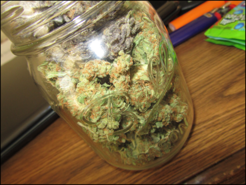 Order Agent Orange (AA) Online Canada - Image 4